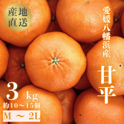 
            ＼ 愛媛が誇る 高級みかん 希少品種 / 甘平 (かんぺい) 3kg ＜D20-5＞【1094583】
          