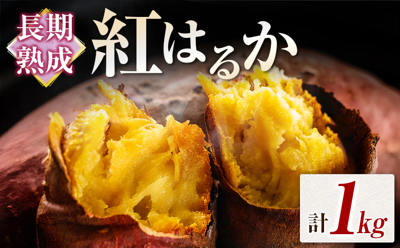 長期熟成 紅はるか 計1kg 宮崎県都城市産 さつまいも サツマイモ