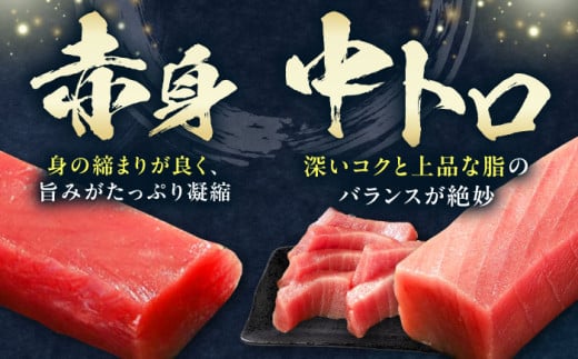 【1月中にお届け】対馬産 本マグロ 3種 計450g（赤身/中トロ/ネギトロ）《対馬市》【対海】[WAH002-01]  