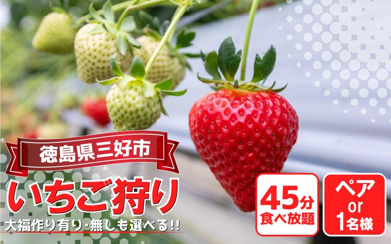 
            徳島県 いちご狩り 旅行 クーポン 体験チケット 選べる お一人様 ペア 2人 いちご イチゴ 苺 ストロベリー 大福づくり あり なし 家族 夏休み 農園 旅行 観光 いちご大福 いちごはうす 民宿 農家民宿 フルーツ狩り 恋みのり 果物 徳島 三好 みよし
          