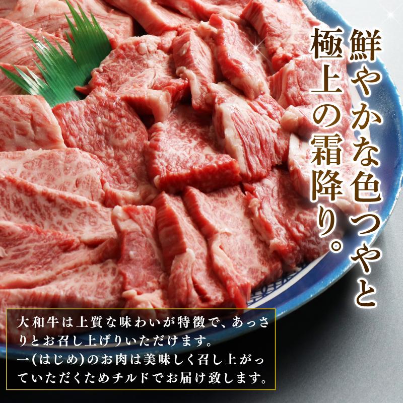 H-45 大和牛 焼肉セット