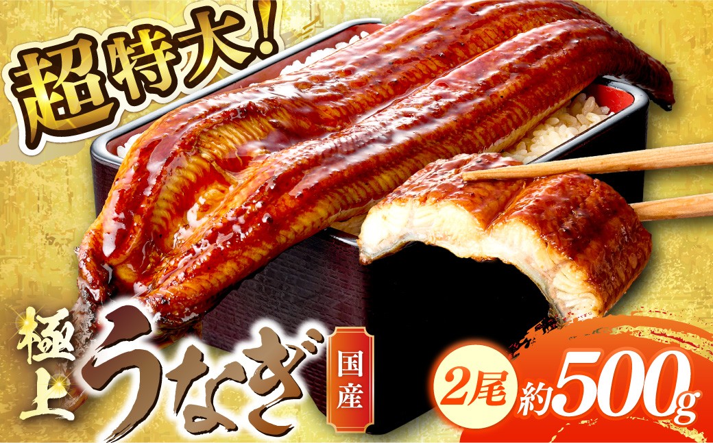 
                  超特大！極上！国産うなぎ蒲焼 2尾 合計500g前後 ＜鰻の蒲焼き ウナギのかば焼き 超特大かばやき 肉厚カバヤキ スタミナ 土用の丑の日 小分け＞　YK00401・YK00401_01・YK00401_02
                