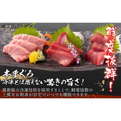 ふるさと納税 福井市 【最新鋭の冷凍技術 刺身用】本まぐろ 大トロ 500g(柵どり) |  | 01
