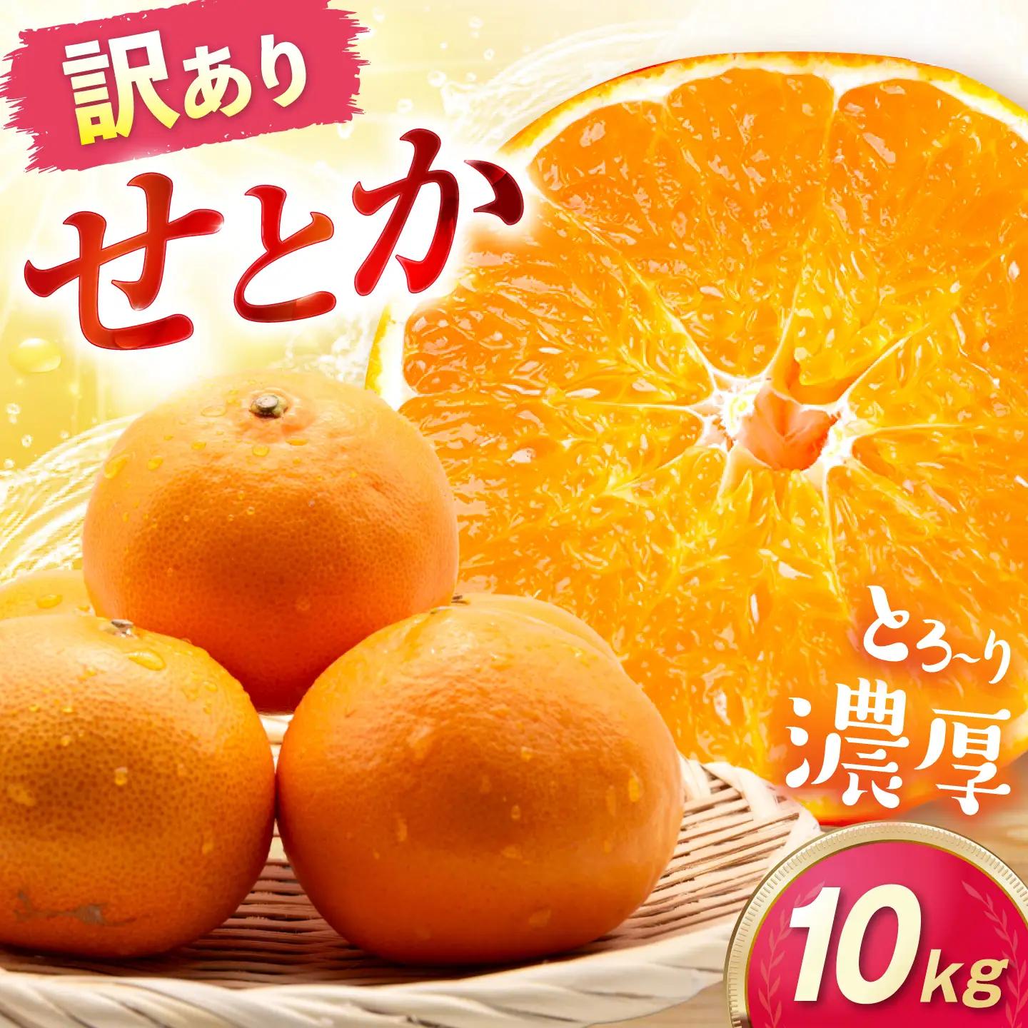 みかん 訳あり せとか 約10kg サイズ不揃い みかん BJAZ023 