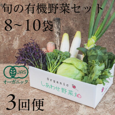 【ふるさと納税】【毎月定期便】しあわせ野菜畑の有機野菜　Mセット　(安心の有機JAS認証　オーガニック野菜)全3回【配送不可地域：離島・北海道・沖縄県・四国・九州】【4066008】