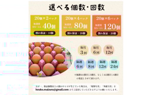 【定期便】毎月/３回 卵 合計120個 無選別 MS〜LL 京の贈り物 20個×2パック×3回 15,000円