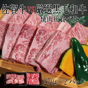 【ふるさと納税】佐賀牛×厳選黒毛和牛　焼肉用食べ比べ250g×2（DX033）