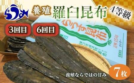 年6回！羅臼昆布の出汁比べ定期便（等級比較） 生産者 支援 応援