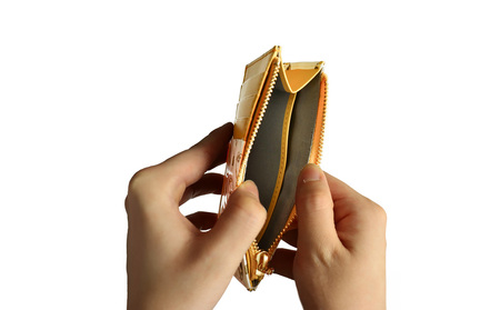 【浅草文庫】フラグメントケース〈猫柄〉(カラー：ミケ（黄色系）)