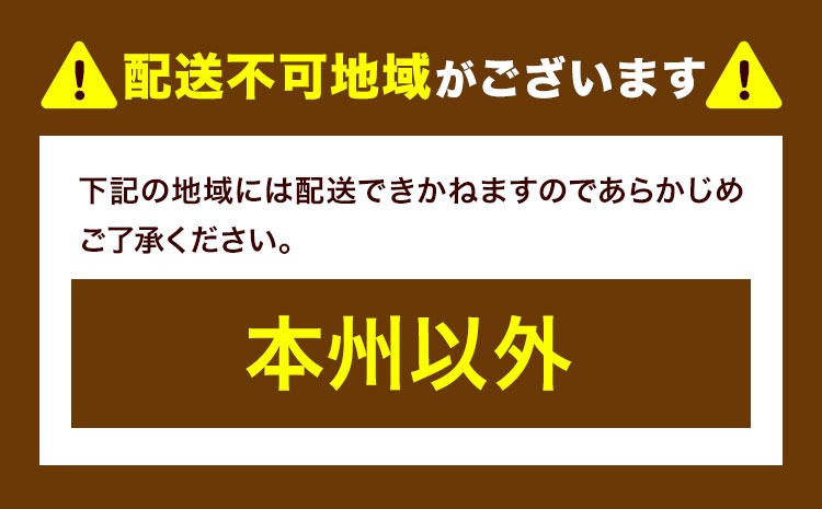 国産合成革張りソファ「NEWニコラス」幅170 脚：ナチュラル 選べるカラー ブラック ホワイト グレージュ レッド グリーン《90日以内に出荷予定(土日祝除く)》 茨城県 結城市 インテリア スタイリッシュ プライベート ビジネス 【配送不可地域あり：本州以外】---yuki_myko_4_1s---