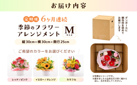 定期便 ≪6ヶ月連続お届け≫ 季節のフラワーアレンジメント M (レッド・ピンク) 花束 生花 プレゼント [G-20703_01]