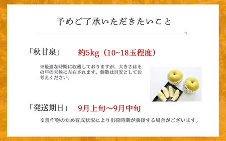 【倉吉産】秋甘泉 5kg  梨 果物 フルーツ 梨 秋甘泉