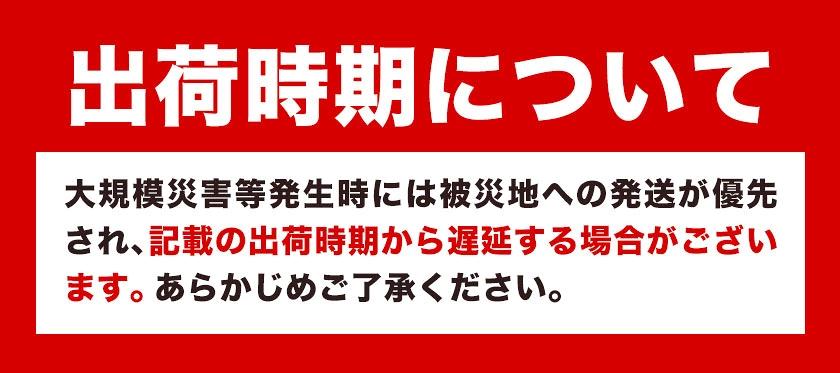 簡易トイレ ワンタッチ 携帯トイレ 24セット 石崎資材株式会社《90日以内に出荷予定(土日祝除く)》 大阪府 羽曳野市 非常用 トイレ 防災グッズ 災害用 災害 地震 断水 コンパクト 防臭 簡単 防災 男女兼用---habikino_izs_4_1---