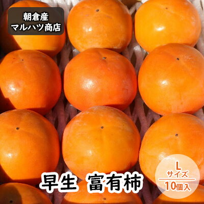 【ふるさと納税】柿 富有柿 早生 Lサイズ×10個入 マルハツ商店 果物類 かき 　お届け：2025年10月下旬～11月上旬