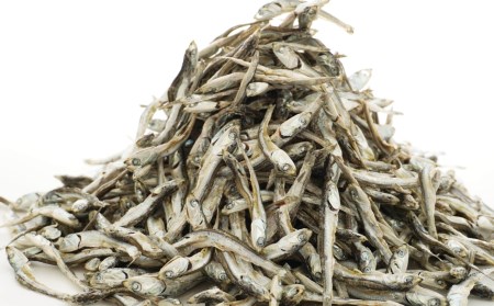 特選海の幸自然の味 小羽 いりこ（煮干し）1.8kg 大島海産