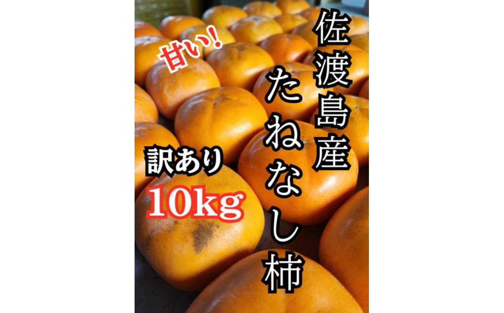
            【訳あり】たねなし柿10kg（箱込み重量）佐渡島産
          