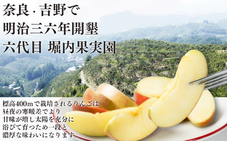 【堀内果実園】奈良県産のふじりんご 約3kg（ご家庭用） ❘ フルーツ くだもの 果物 りんご 林檎 リンゴ ふじりんご  奈良県 五條市