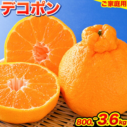 みかん 好き必見 ご家庭用 デコポン 生産量日本一 熊本 県産 約 3.6kg （約9‐18玉前後） 柑橘 個別光センサー選果 柑橘 フルーツ 旬 不知火 でこぽん ご家庭用 早期予約 《2024年1月下旬-4月末頃出荷》