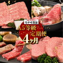 【ふるさと納税】【定期便】（全4回）A5ランク 飛騨牛 贅沢 食べつくし 約1.8kg ( カルビ・もも / ロースすき焼き / 肩ロースしゃぶしゃぶ / シャトーブリアン) | 定期便 肉 豪華 a5 食べ比べ 希少部位 飛騨高山 有限会社ながせ食品 FH100VP