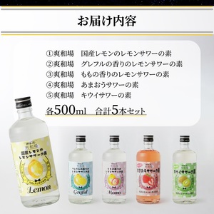 爽和場（サワーバー） 飲み比べ5本セット_爽和場 サワーバー 5種類 飲み比べ 500ml 5本 セット レモンサワーの素 割るだけ 糖類ゼロ プリン体ゼロ レモン グレープフルーツ もも キウイ あ