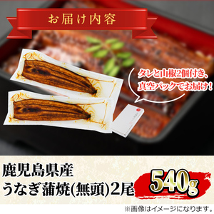 ＜数量限定・メガサイズ＞「養鰻業者応援」 うなぎ 蒲焼 (無頭)(2尾・計約540g・タレ、山椒付) 高級 ウナギ 鰻 国産 たれ 鹿児島 ふるさと 人気【アクアおおすみ】【0164361a】