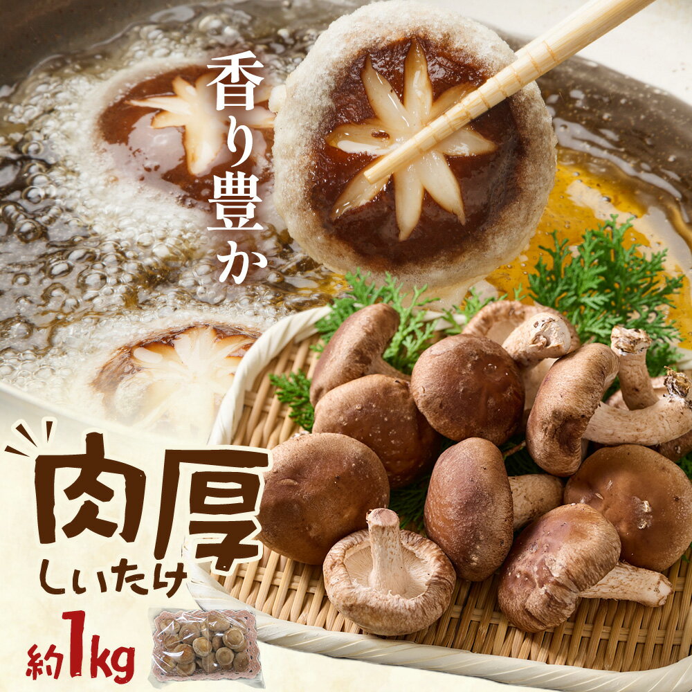 【ふるさと納税】肉厚 菌床椎茸 1kg 《30日以内に発送予定(土日祝除く)》 プレジール・アオバ 徳島県 上板町 野菜 青果物 きのこ シイタケ 椎茸