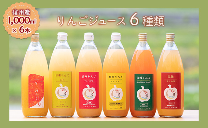 
【信州産】りんごの個性にびっくり！ジュース6種セット（1,000ml×6本）[№5659-1453]
