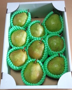 西洋梨（ラ・フランス）３ｋｇ　８～９玉　特秀品　0042-2607