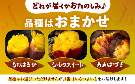 さつまいも 10㎏ / 焼き芋 焼きいも 紅はるか シルクスイート あまはづき 野菜 愛西市 / 川口農園[AEDH002]