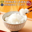 【ふるさと納税】令和6年産 竹田銘水美人色選米 10kg（5kg×2）白丹産 特別栽培米 ヒノヒカリ うるち白米 お米 白米 精米 ご飯 送料無料