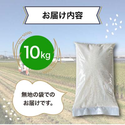 ふるさと納税 糸島市 とにかくおいしいお米  10kg 糸島市 シーブ [AHC023] |  | 02