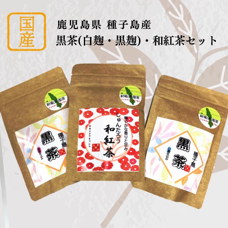 【ふるさと納税】 種子島 射場(勇) 製茶 の 黒茶 ・ 和紅茶 セット 日本茶 お茶 白麹 黒麹 西之表市 お茶の里
