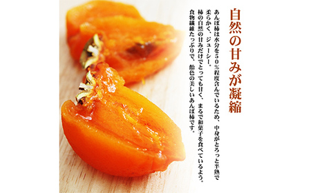 厳選 個包装 あんぽ柿(はちや)300g F20C-821
