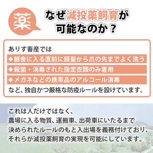 ありすぽーく ブロックセット 総量2750g ／ 豚 豚肉 肉 バラ ロース ハンバーグ