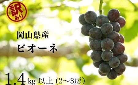 訳あり ニューピオーネ 2～3房 合計1.4kg以上 岡山県産 ピオーネ