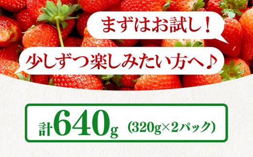 【先行予約】【定期便】いちご市 鹿沼の美味しい「い」「ち」「ご」 とちあいか 15粒入り320g 2パック 2ヶ月連続発送 全2回 お届け ｜ イチゴ 苺 フルーツ 果物 甘い 贈答用 かぬま ※沖縄