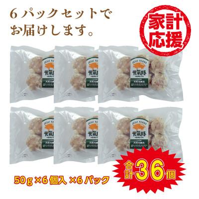 ふるさと納税 多古町 千葉県産三元豚 大粒肉焼売 36個(1.8kg)元気豚100%使用 冷凍 |  | 01