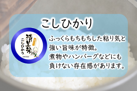 【令和5年産】【低農薬】極上米5kg無洗米『こしひかり』 [A-8802_01]