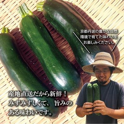 ふるさと納税 京丹波町 《予約受付》 京都 京丹波ズッキーニ 30本 約6kg |  | 01