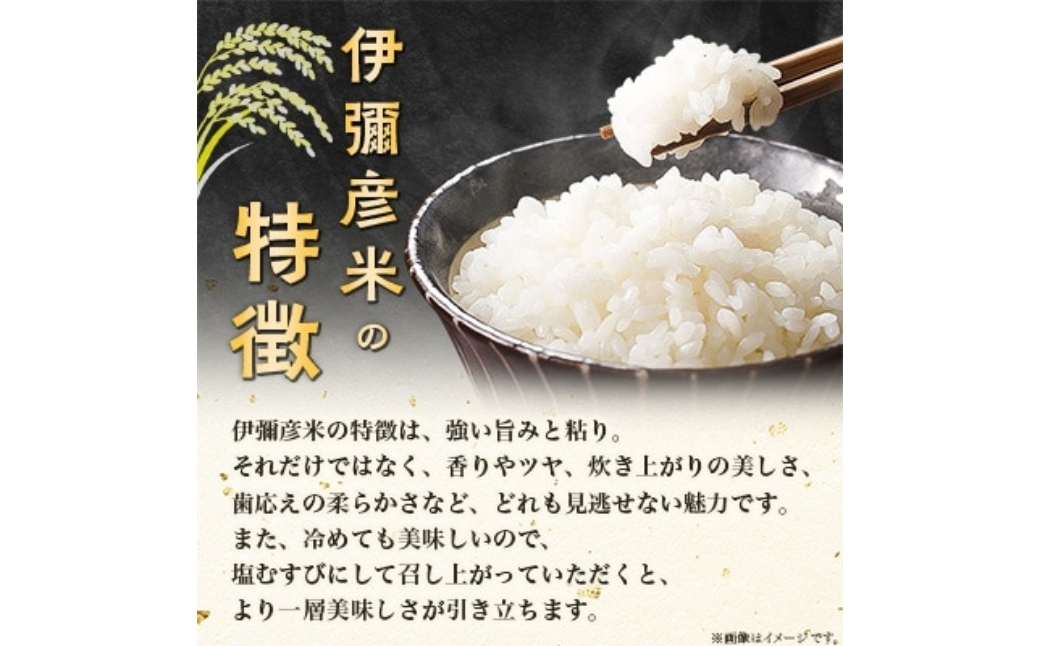 ＜伊彌彦米と伊彌彦醤油セット＞(白米2kg×2袋・醤油500ml×1本) | ブランド米 新潟県 弥彦村 本醸造 丸大豆醤油 国産大豆使用 丸大豆仕込み しょうゆ こいくち 濃口 調味料 しょう油 まろやか 大容量 新潟県 弥彦村