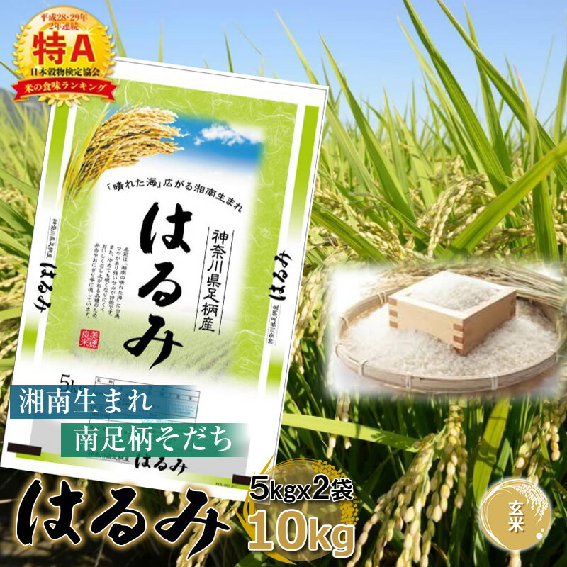 【ふるさと納税】【令和7年産】湘南生まれ南足柄育ちのブランド米「はるみ」(玄米) 10kg 創業100年の米屋がお届け【特A ギフト プレゼント 贈り物 返礼 御礼 おいしい 】【 ごはん おいしい 神奈川県 南足柄市 】