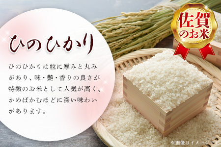 【令和7年産 新米先行受付】基山園部米 ひのひかり 5kg【お米 米 美味しいご飯 ヒノヒカリ 地元産 芳醇 艶やか 香ばしい 粒感 自然】K099004