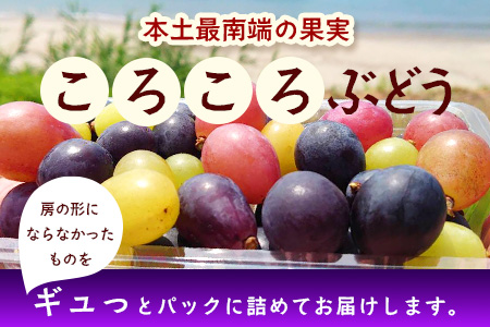 【ふるさと納税】【期間限定・数量限定】今が旬 ＜訳あり＞ 本土最南端ぶどう ころころぶどうパック 約1.2kg TE707｜ 家庭用 産地直送 旬 ブドウ 葡萄 ぶどう フルーツ 果物 くだもの 果実