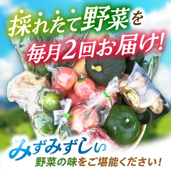 月2回お届け【24回定期便】諫早産 野菜の詰め合わせ 8・9品目程度 / 季節 旬 野菜 やさい 春野菜 夏野菜 秋野菜 野菜セット 詰め合わせ 野菜定期 野菜定期便 定期便 / 諫早市 / 肥前グロ