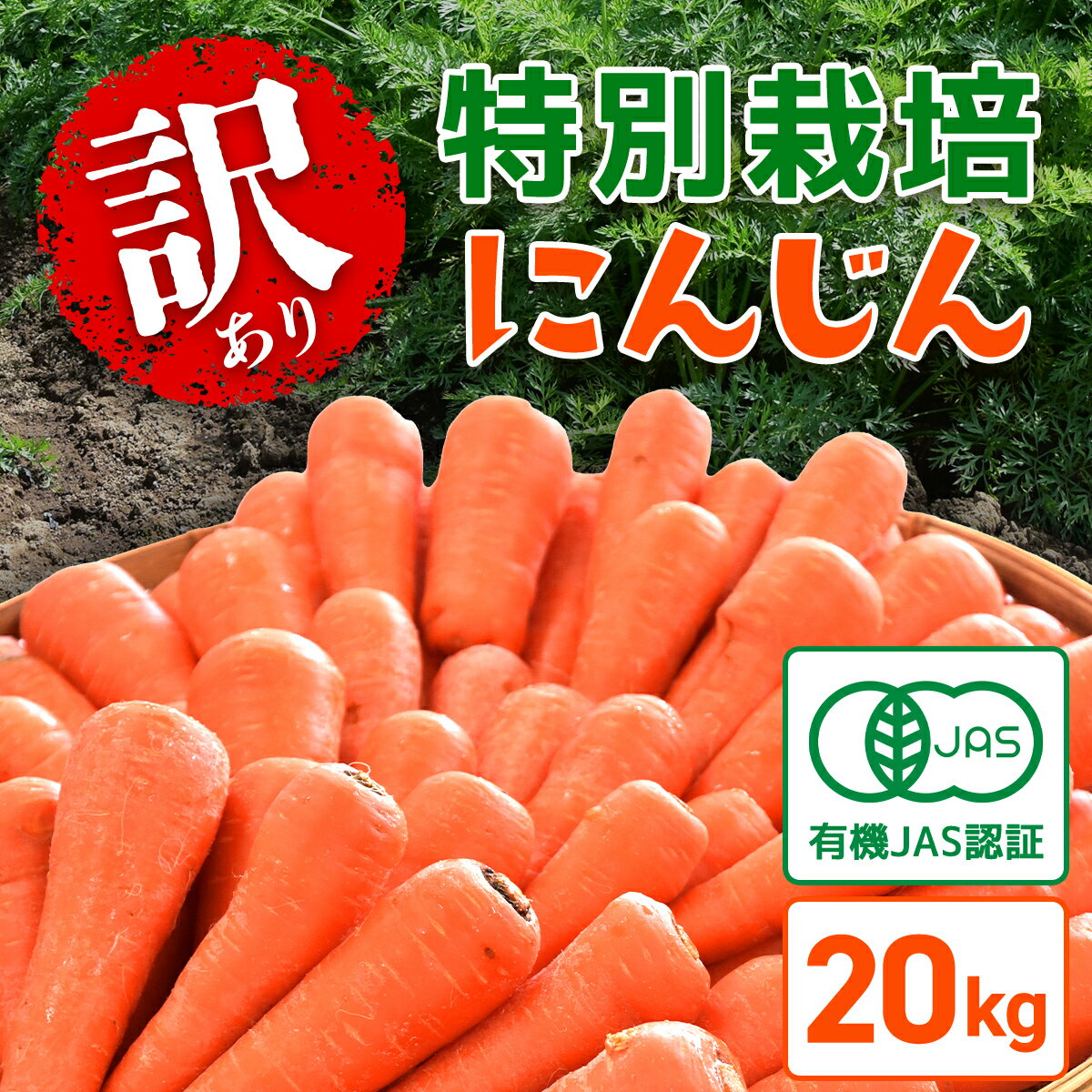 【ふるさと納税】【先行予約】【冬にんじん・12月から発送】訳あり 有機JAS認証 特別栽培にんじん 20kg ／ ふるさと納税 やさい 野菜 人参 ニンジン にんじん 有機栽培 有機JAS取得 安心安全 訳あり 不揃い ジュース スムージー 千葉県 山武市 SMF003