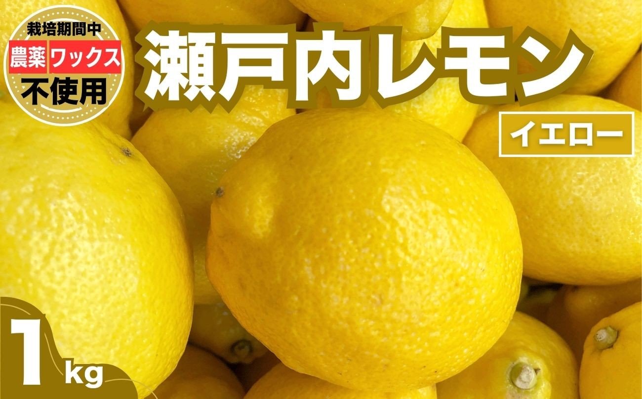 
            瀬戸内レモン イエローレモン 1kg 栽培期間農薬不使用 皮まで食べれる グッドソイルグループ【レモン 檸檬 せとうちレモン 農薬不使用 化学肥料不使用 レモンジャム レモンスイーツ レモン麹】
          
