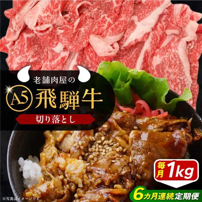 【6回定期便】 飛騨牛 切り落とし肉 A5ランク 500g×2パック (1kg) / 恵那市 / 岩島屋 [AUAJ034]