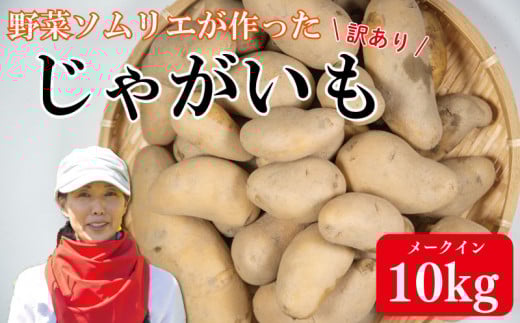 数量限定 訳あり じゃがいも メークイーン 10kg 国産 野菜 やさい 馬鈴薯 ポテト こだわり栽培 肉じゃが カレー コロッケ サラダ スープ 鍋 おかず おつまみ 弁当 惣菜 日用 お取り寄せ グルメ 送料無料 徳島県 阿波市 須見商店