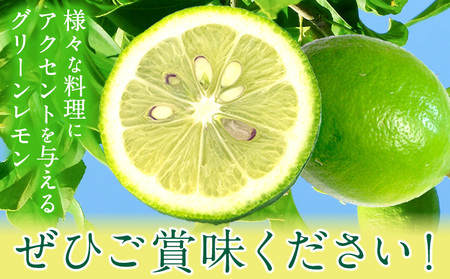 グリーンレモン 約2kg ときわオンライン【先行予約】《2026年10月上旬-2027年2月末頃出荷》 柑橘 和歌山県 紀の川市 フルーツ 果物 レモン グリーンレモン 檸檬 送料無料