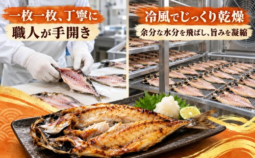 大島水産の「訳あり干物詰合せ15枚以上」 ｜ 訳あり 干物 干物セット ひもの 詰め合わせ 干物詰め合わせ 4種以上 15枚以上 不揃い 規格外 魚種おまかせ 大島水産 西伊豆加工 西伊豆の干物 冷凍
